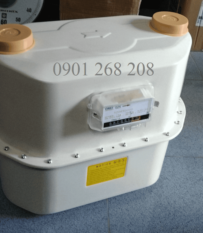 Gas meter Daemyoung G25 100kpa